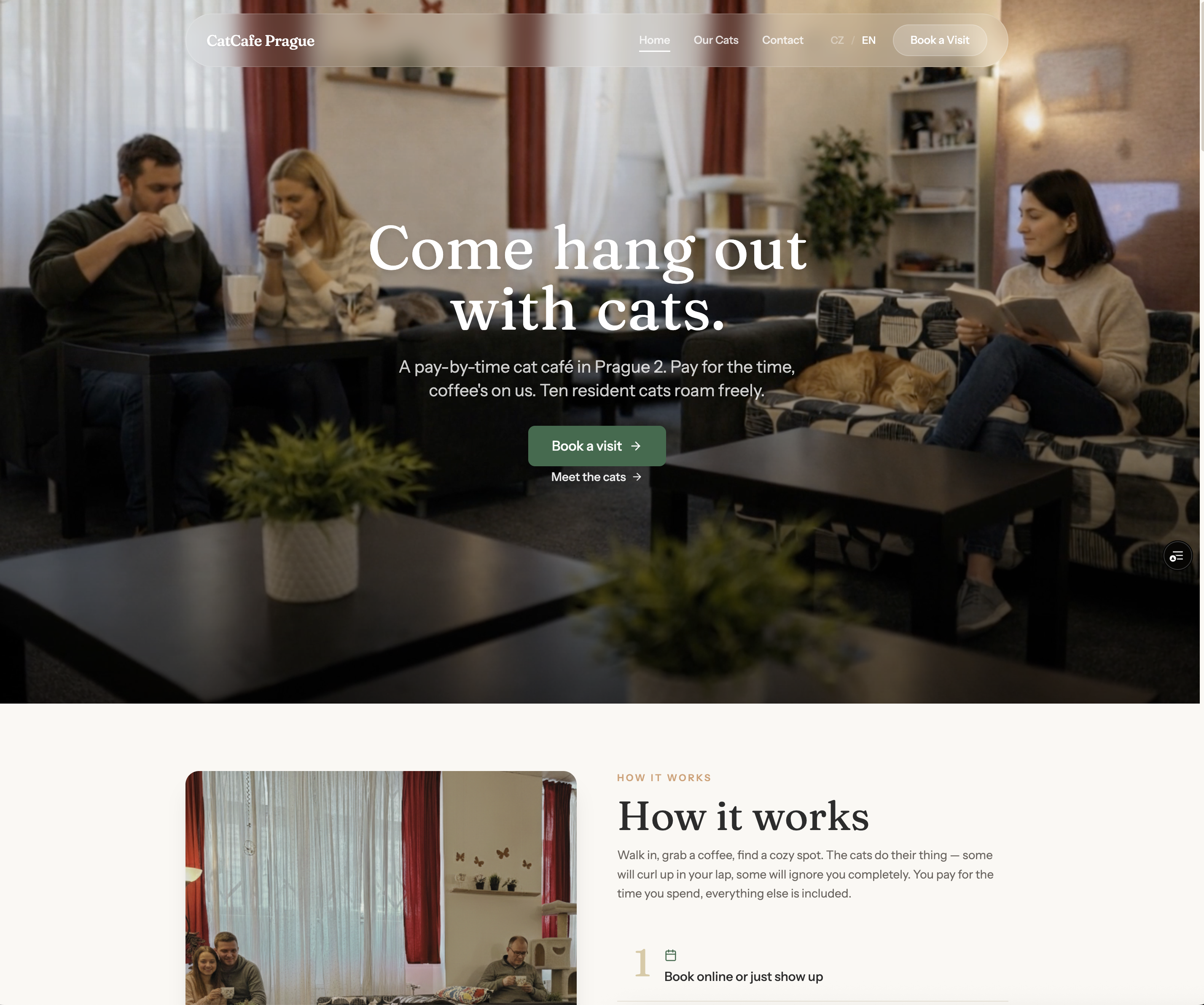 Hlavní obrazovka webu CatCafe s online rezervací stolů